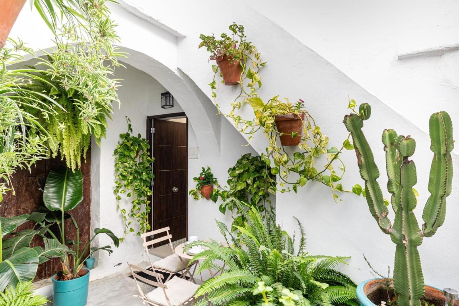 Casa La Fontana 3 Apartman Vejer de la Frontera Kültér fotó